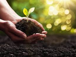 Dorpskerk Aagtekerke